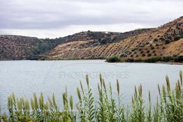 Image du Maroc Professionnelle de  Le Barrage Allal Al Fassi est situé dans la Province de Sefrou sur Oued Sebou avec un volume de stockage de 63.7 Mm3, il contrôle un bassin versant de 5.400 km2. Ce Barrage a été mis en service en 1990. But de l'ouvrage  production d'électricité, irrigation et protection contre les crues, 8 septembre 2005. Photo / Abdeljalil Bounhar) 